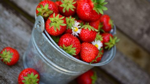 Strawberries 3431122 1920