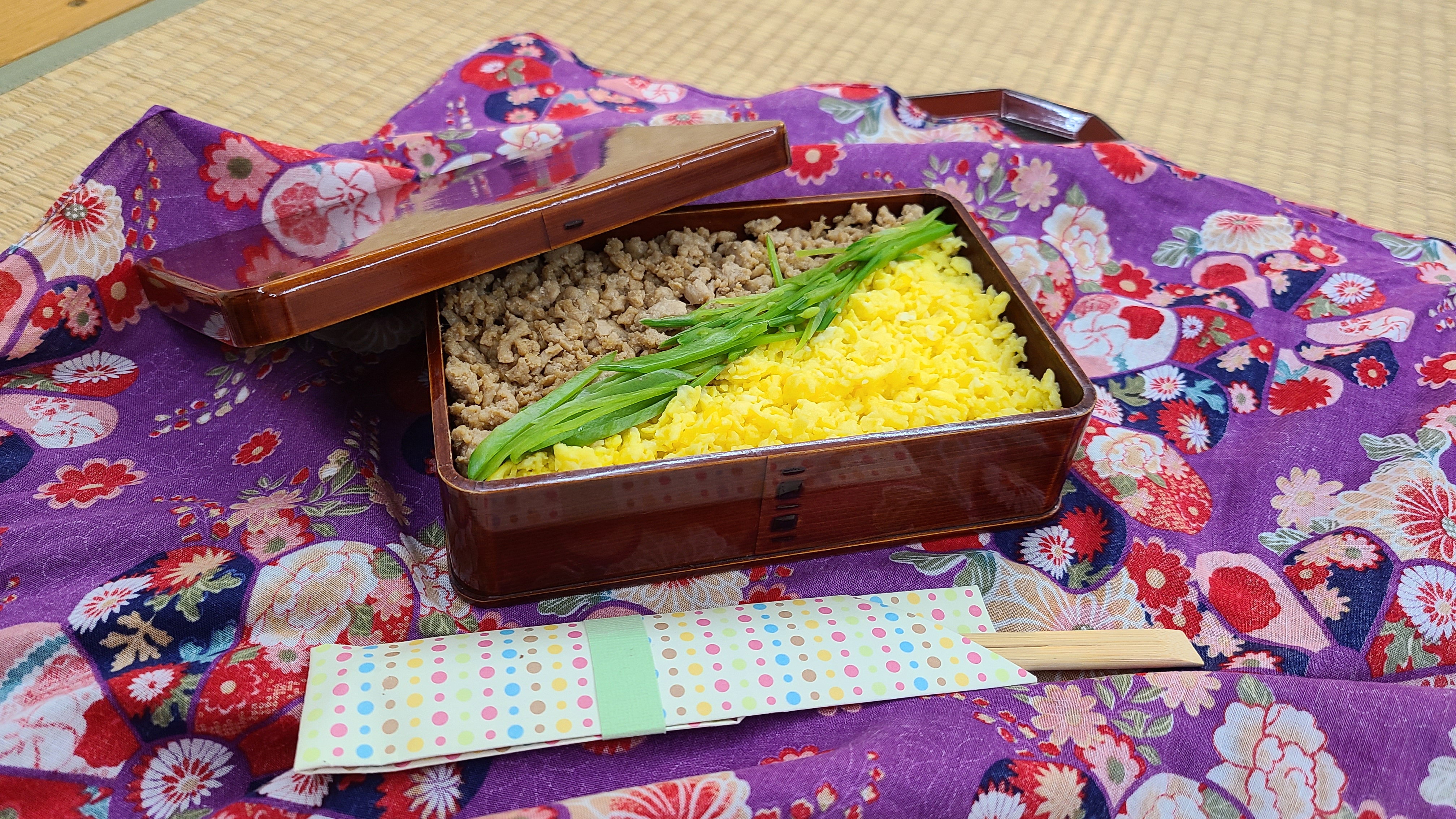 Ground chicken and egg in a bento box